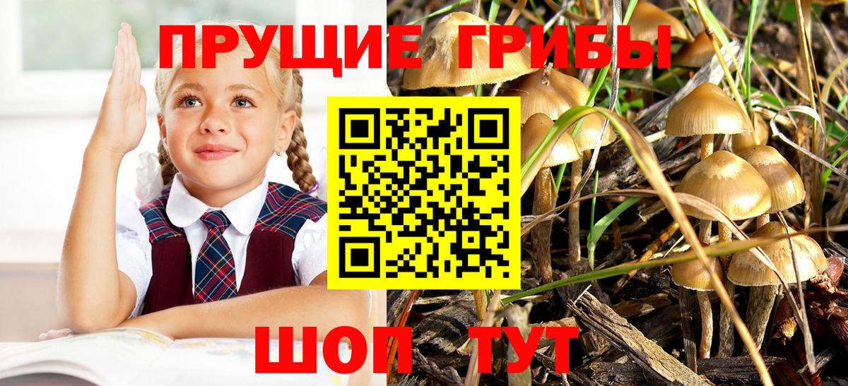 Галлюциногенные грибы ЛСД Владикавказ