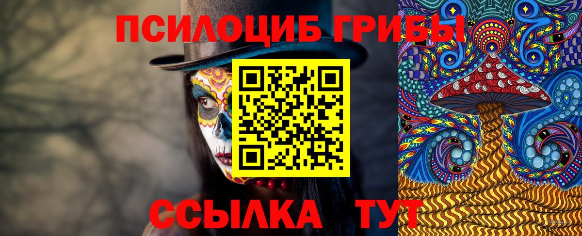 купить закладку  Псилоцибиновые грибы Psilocybe  Вход с VPN  Владикавказ 